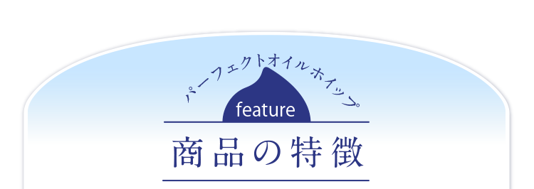 パーフェクトオイルホイップ商品の特徴