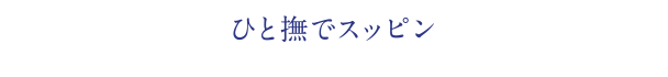 ひと撫でスッピン