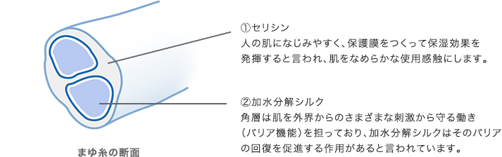 ①セリシン人の肌になじみやすく、保護膜をつくって保湿効果を発揮すると言われ、肌をなめらかな使用感触にします。 ②加水分解シルク角層は肌を外界からのさまざまな刺激から守る働き（バリア機能）を担っており、加水分解シルクはそのバリアの回復を促進する作用があると言われています。